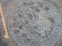 2009 China 274